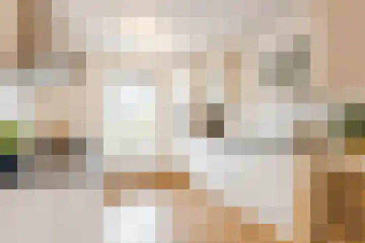 De Spindel 22 Steenbergen thumbnail 20