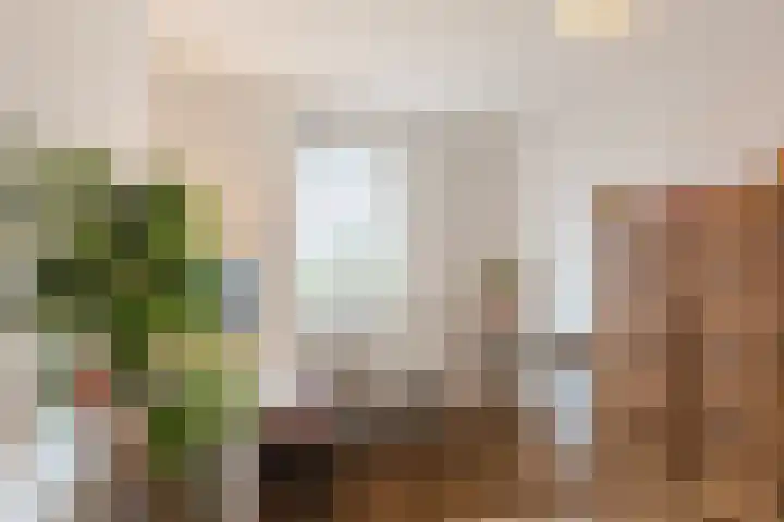 De Spindel 22 Steenbergen thumbnail 30