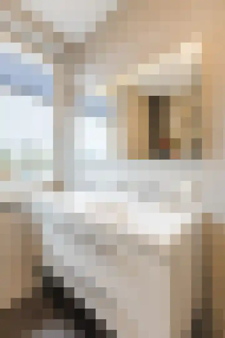 De Spindel 22 Steenbergen thumbnail 35