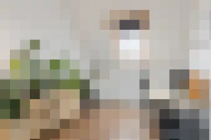 De Spindel 22 Steenbergen thumbnail 42