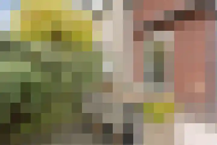 De Spindel 22 Steenbergen thumbnail 51
