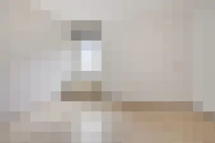 De Spinne 20 Goes thumbnail 10