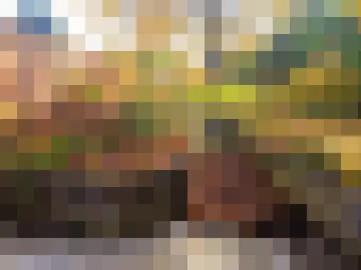De Spinne 20 Goes thumbnail 13