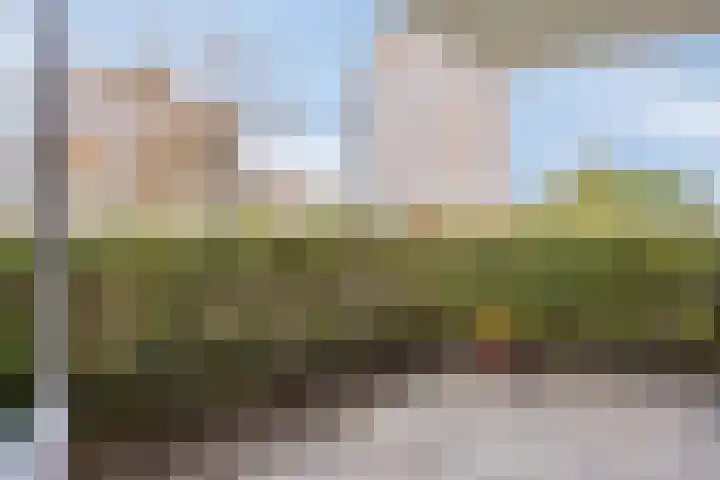 De Spinne 20 Goes thumbnail 14