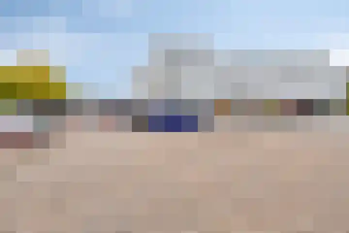 De Spinne 20 Goes thumbnail 16