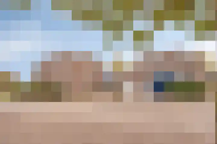 De Spinne 20 Goes foto 2