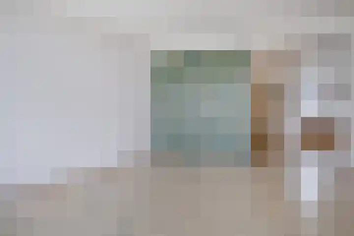 De Spinne 20 Goes thumbnail 5