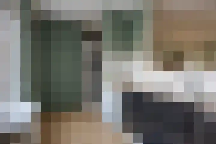 De Spinne 20 Goes thumbnail 6