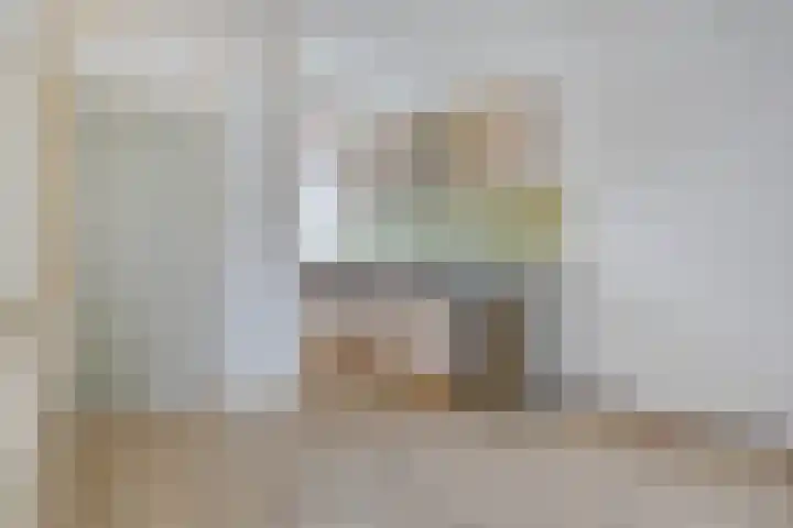 De Spinne 20 Goes thumbnail 8