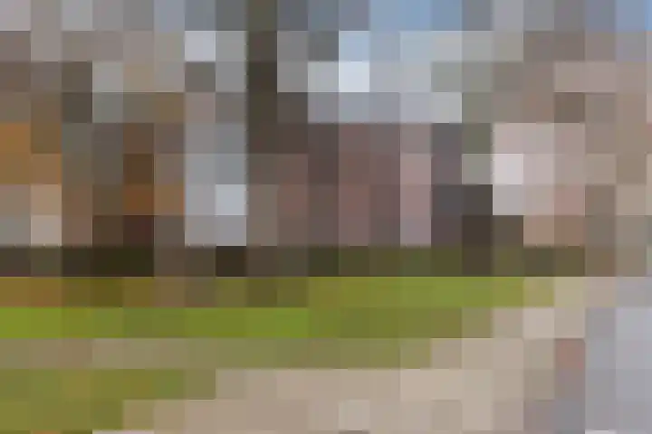 De Spinne 20 Goes thumbnail 9