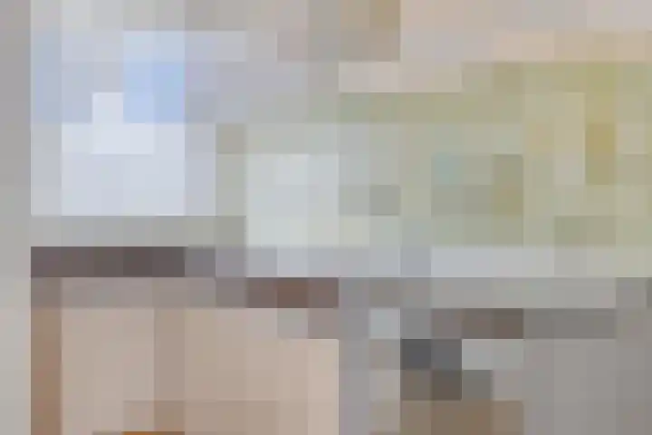 De Spinne 20 Goes thumbnail 9