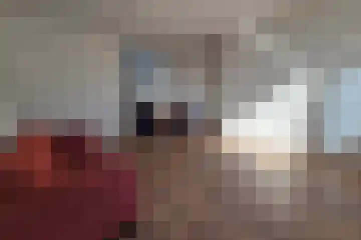 De Spinne 26 Goes thumbnail 10
