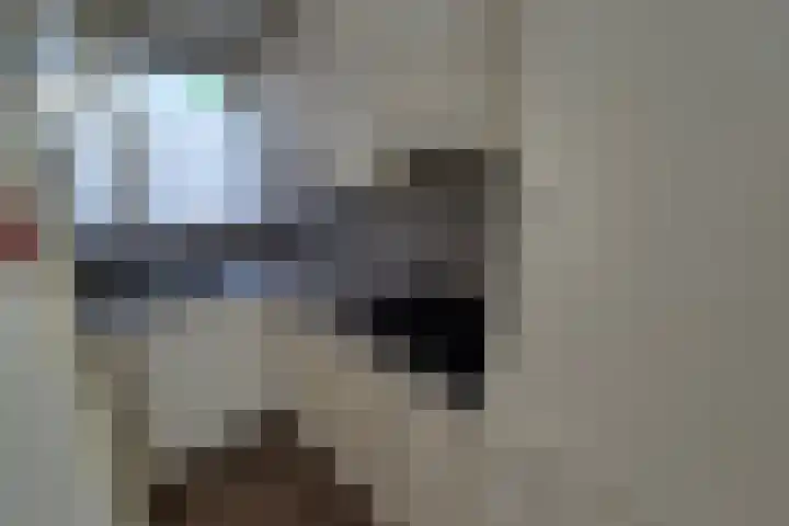 De Spinne 26 Goes thumbnail 14