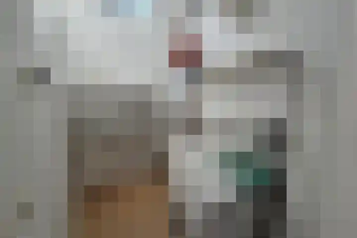 De Spinne 26 Goes thumbnail 18