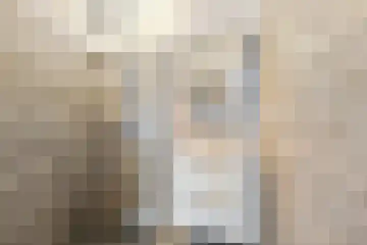 De Spinne 34 Goes thumbnail 11