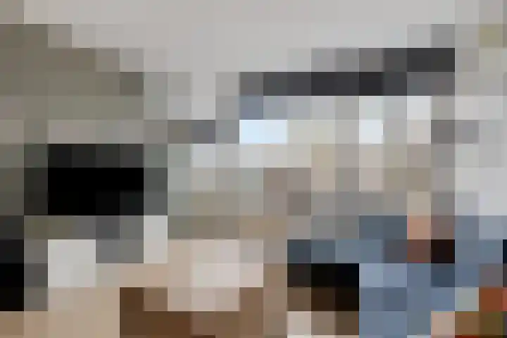 De Spinne 34 Goes thumbnail 4