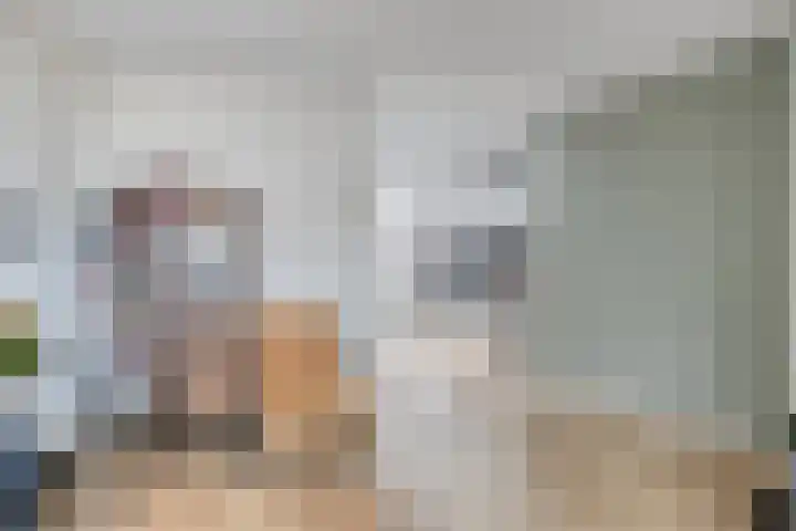 De Spinne 34 Goes thumbnail 5