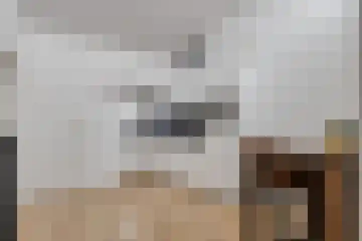 De Spinne 34 Goes thumbnail 6