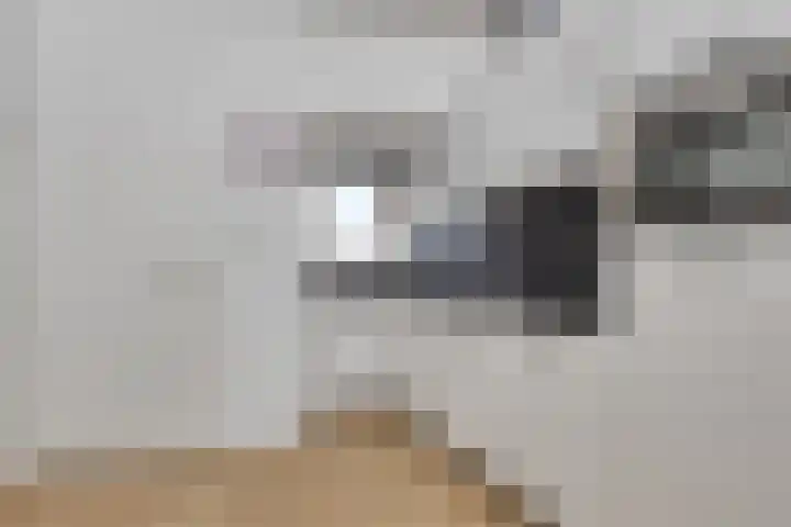 De Spinne 34 Goes thumbnail 7