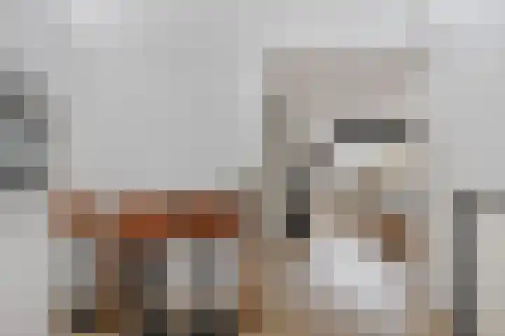 De Spinne 34 Goes thumbnail 8