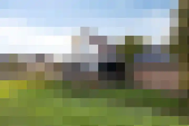 De Spinnekop 2 Witmarsum thumbnail 27