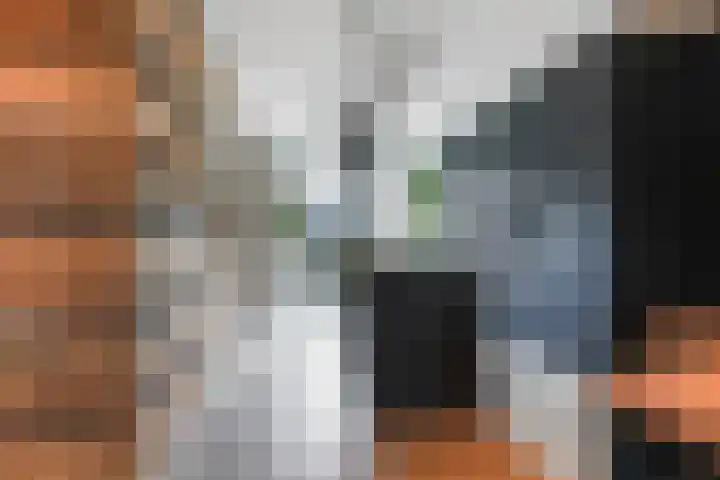 De Spinster 18 Boxtel thumbnail 14