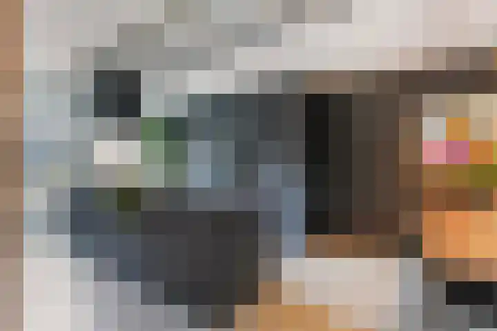 De Spinster 18 Boxtel thumbnail 19