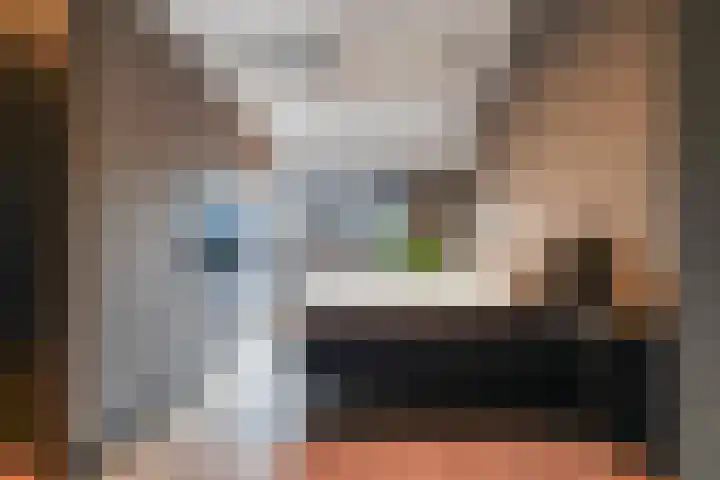 De Spinster 18 Boxtel thumbnail 26