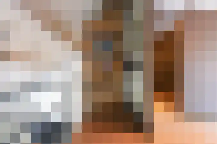 De Spinster 18 Boxtel thumbnail 38