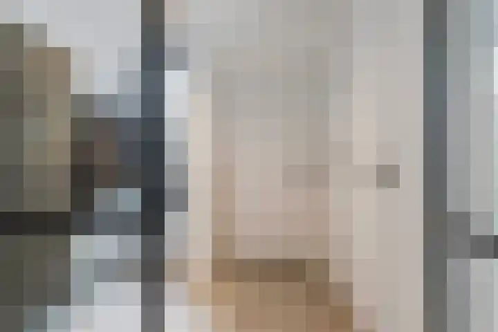 De Spinster 18 Boxtel thumbnail 4