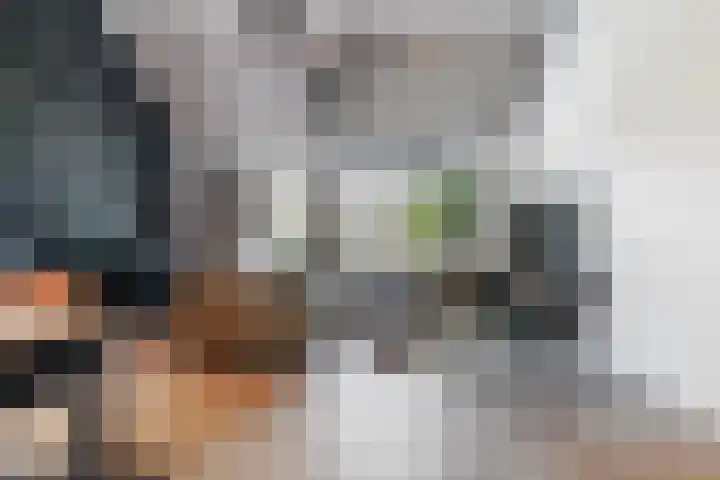 De Spinster 18 Boxtel thumbnail 5