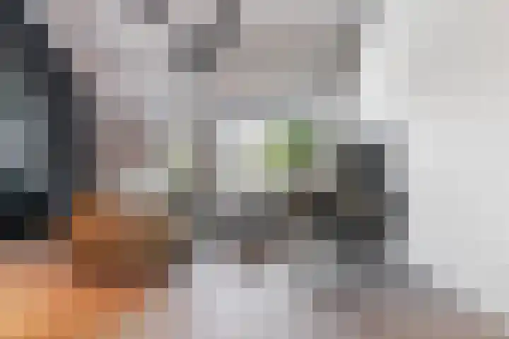 De Spinster 18 Boxtel thumbnail 6