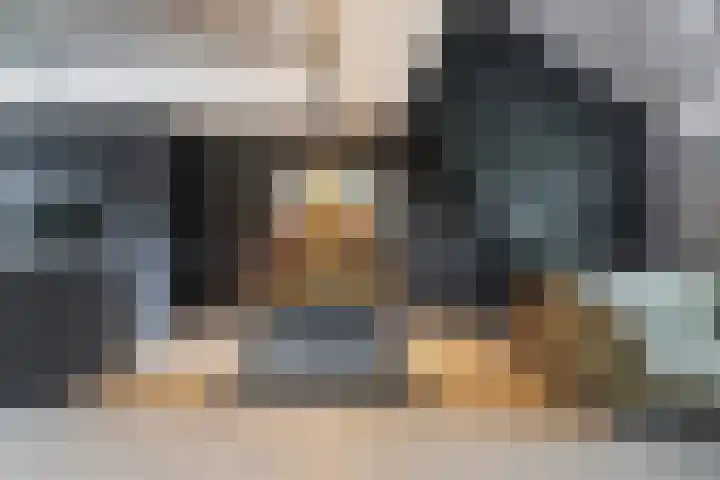 De Spinster 18 Boxtel thumbnail 8