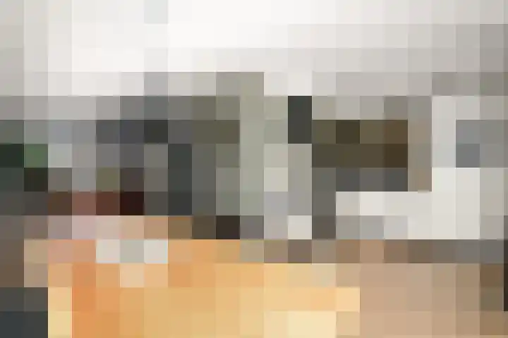 De Splitting 43 Wolvega thumbnail 10