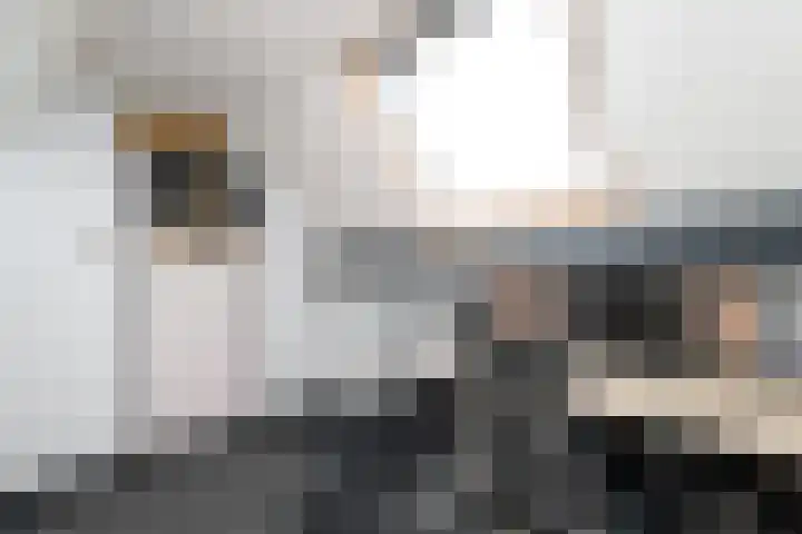 De Splitting 43 Wolvega thumbnail 31