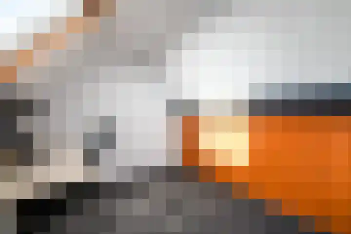 De Splitting 43 Wolvega thumbnail 32