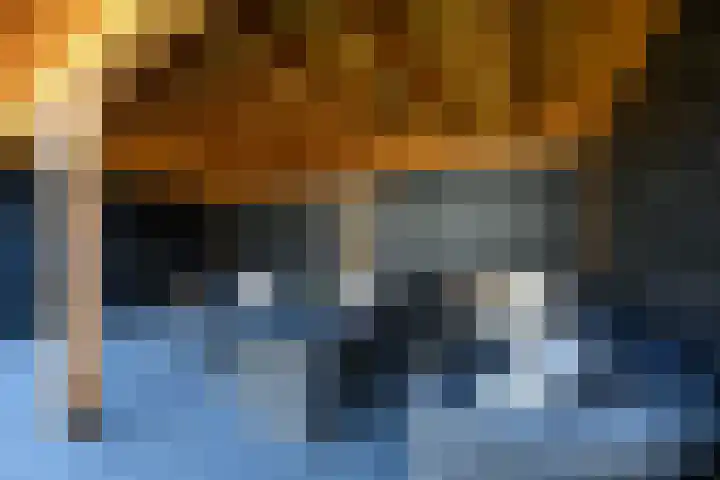 De Splitting 43 Wolvega thumbnail 39