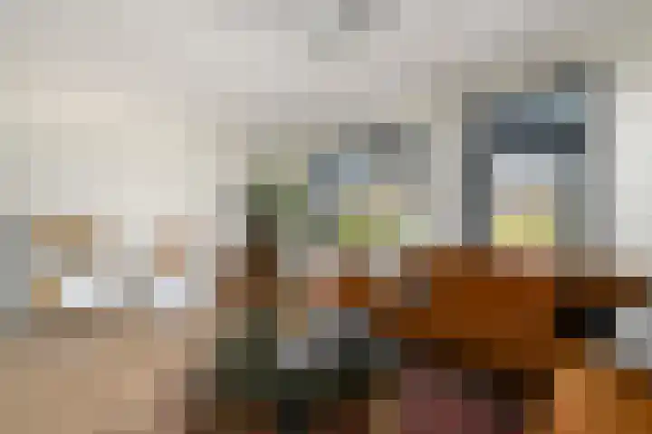 De Splitting 43 Wolvega thumbnail 5