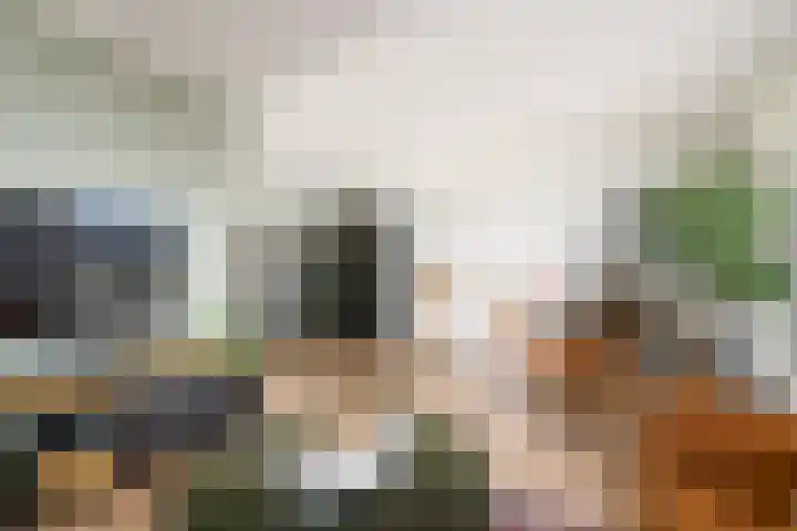 De Splitting 43 Wolvega thumbnail 6