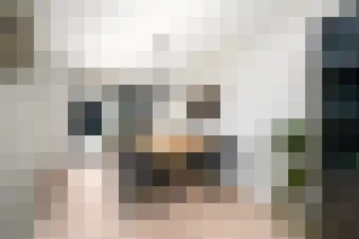 De Splitting 43 Wolvega thumbnail 8