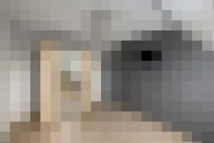 De Splitting 61 Wolvega thumbnail 16