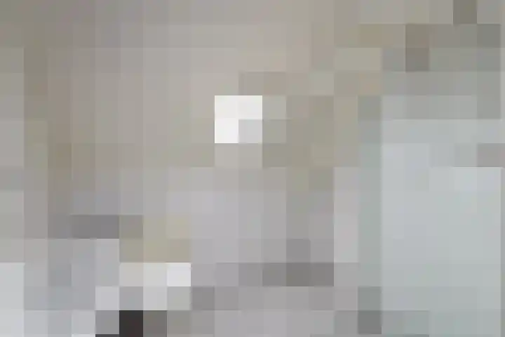 De Splitting 61 Wolvega thumbnail 21