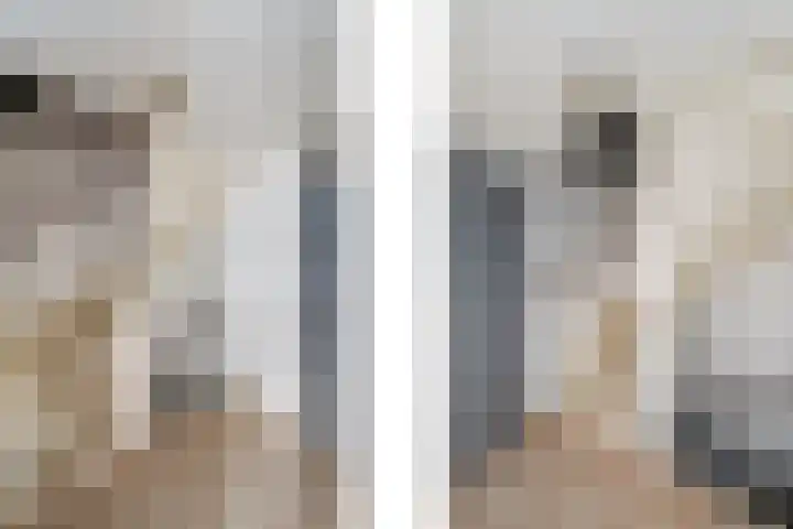 De Splitting 61 Wolvega thumbnail 24