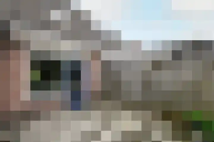 De Splitting 61 Wolvega thumbnail 28