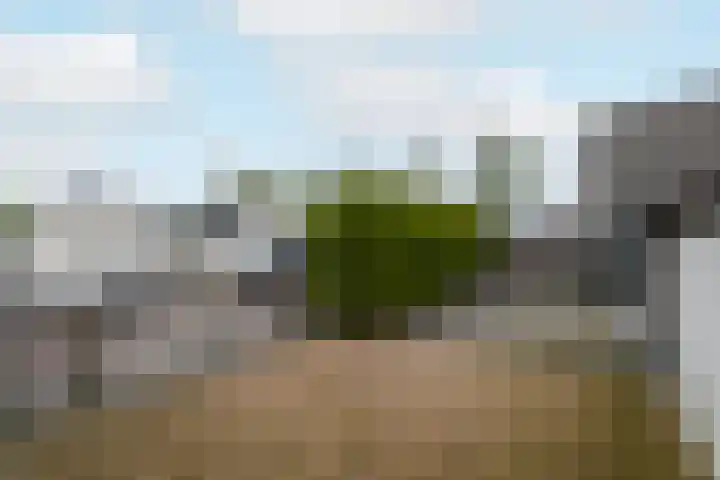 De Splitting 61 Wolvega thumbnail 32