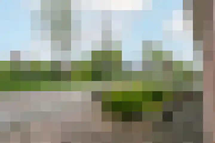 De Splitting 61 Wolvega thumbnail 34