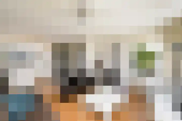 De Splitting 61 Wolvega thumbnail 5