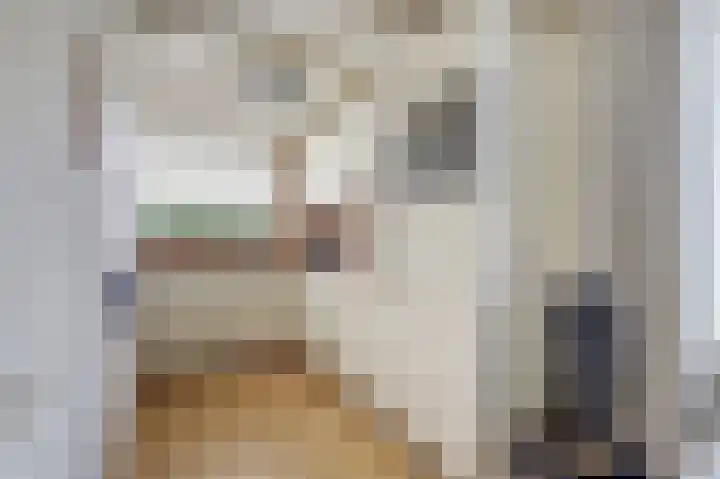 De Sprong 3 Renesse thumbnail 11