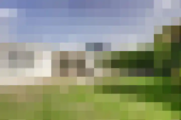 De Sprong 3 Renesse thumbnail 22