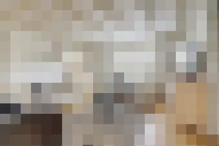 De Sprong 3 Renesse thumbnail 6